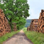 Drewno KVH vs. tradycyjne drewno konstrukcyjne - porównanie właściwości technicznych