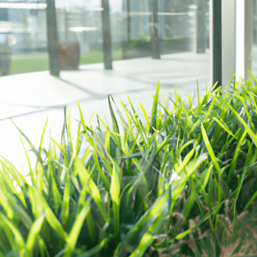 Czy warto zainstalować sztuczną trawę na balkon? Jak zainstalować sztuczną trawę na balkonie i jakie są jej zalety?