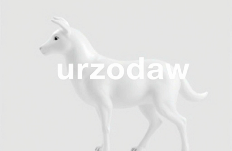 Jak uzyskać odszkodowanie za uszkodzenie narządów płciowych – praktyczne kroki i porady na każdym etapie procesu